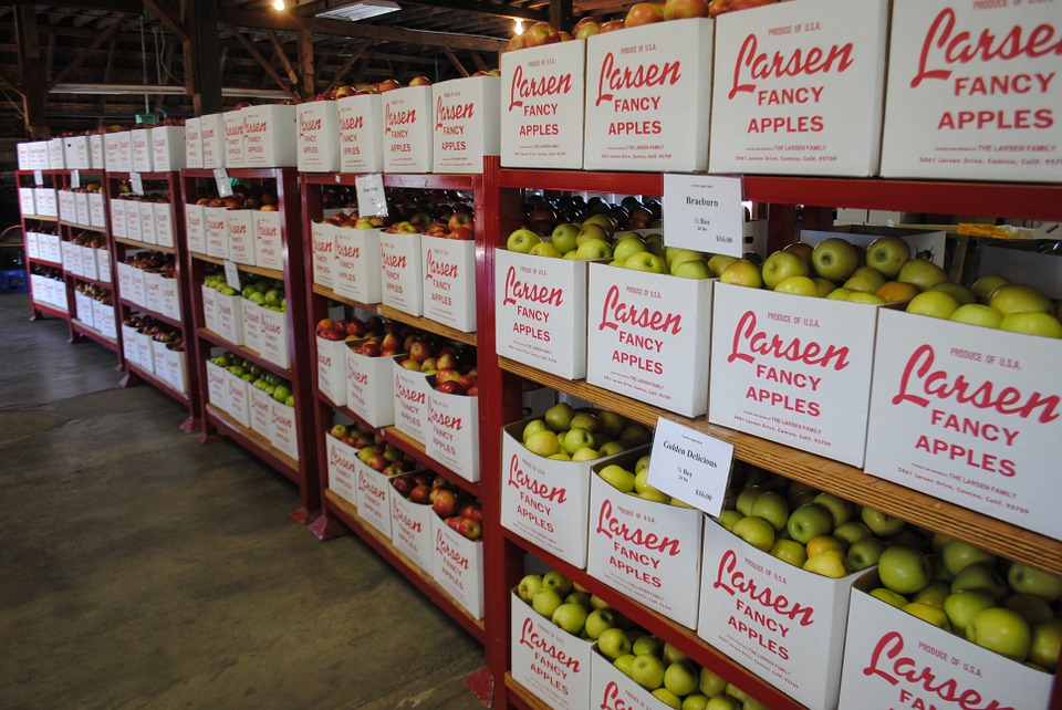 Commercial Cleaning Food-Grade Warehouses