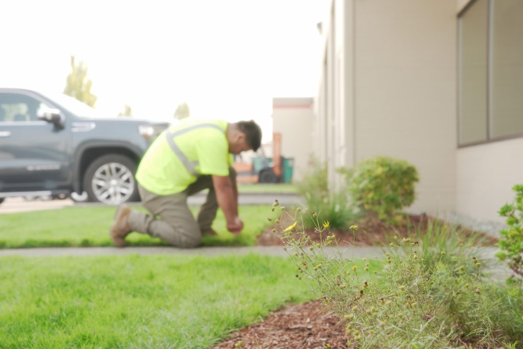 Commercial Landscapng Services