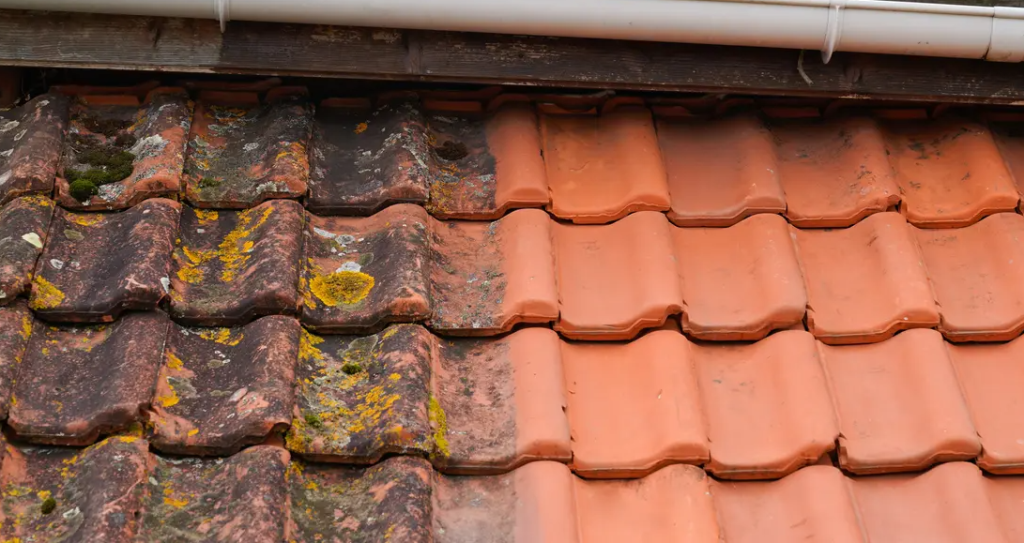 Roof Cleaning