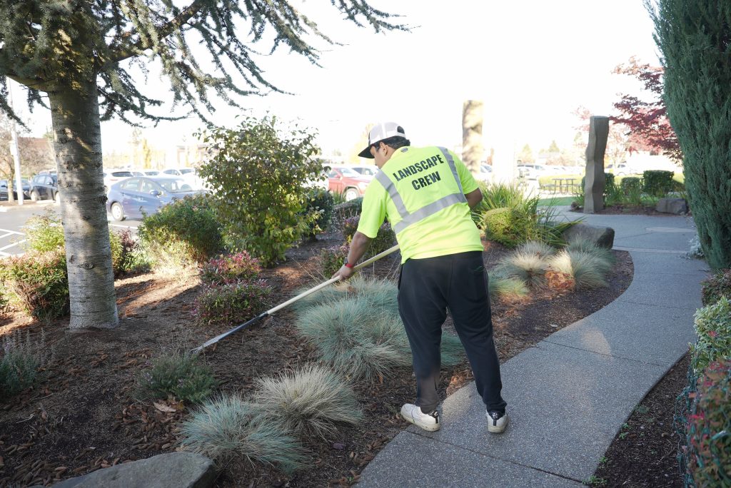 Reliable Multi-Tenant Residential Property Cleaning Services