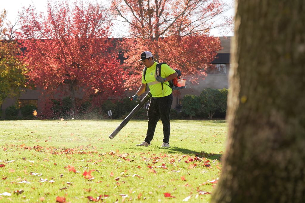 commercial landscaping