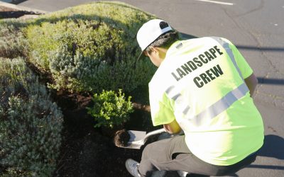 Discover Cleanstart’s Cutting-Edge Commercial Landscaping Services