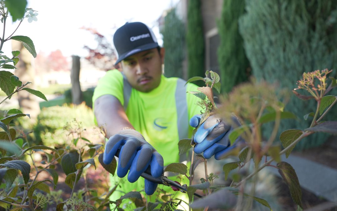 Elevate Your Commercial Property with Cleanstart’s Premier Landscaping Services