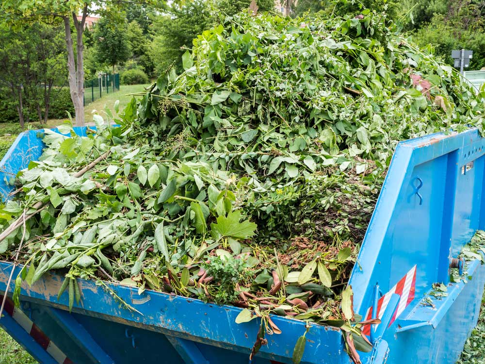 Yard waste and Junk Removal yard cleanup and junk removal
